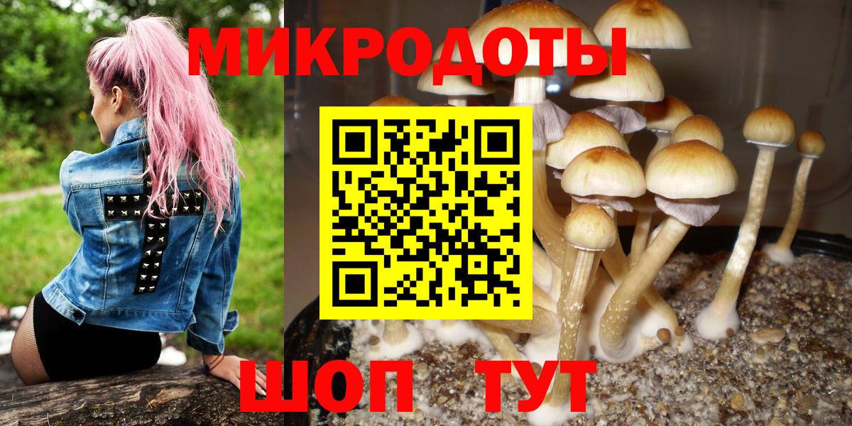 где продают наркотики  Вход с VPN  Спасск-Дальний  Галлюциногенные грибы GOLDEN TEACHER 